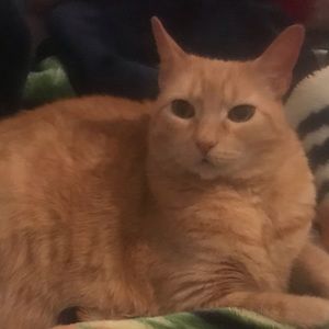 Meet your Posher, Breanna